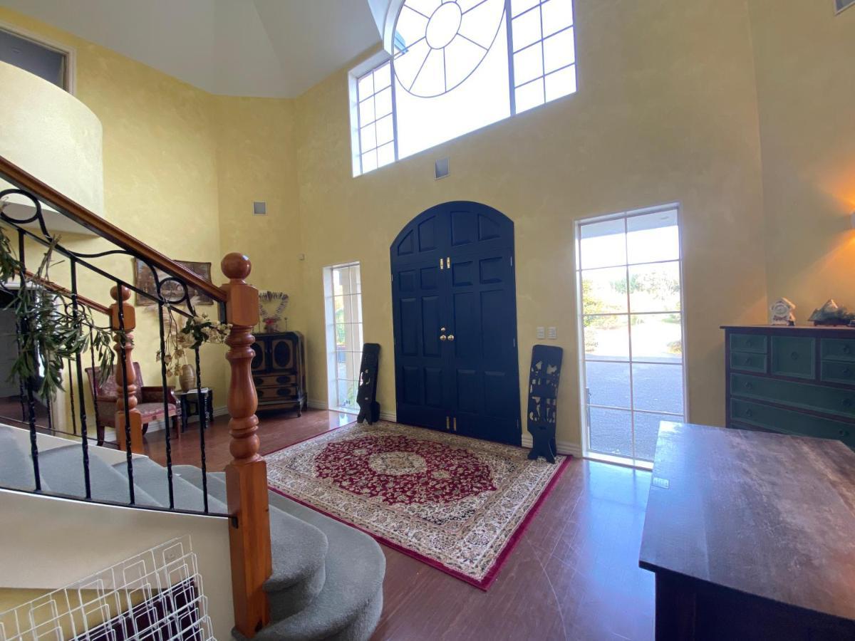 فيلا Clearwater Olive Estate كريستتشيرش المظهر الخارجي الصورة
