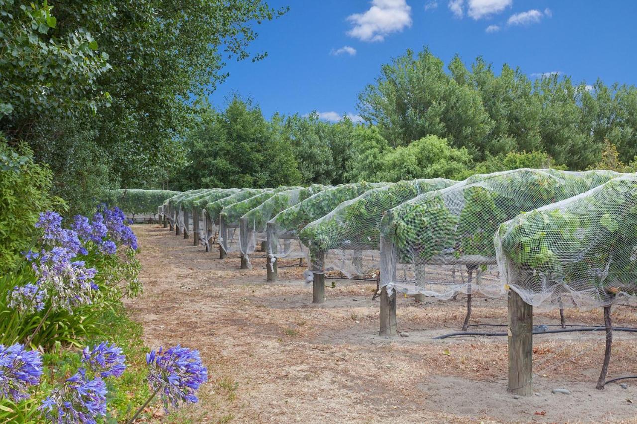 فيلا Clearwater Olive Estate كريستتشيرش المظهر الخارجي الصورة